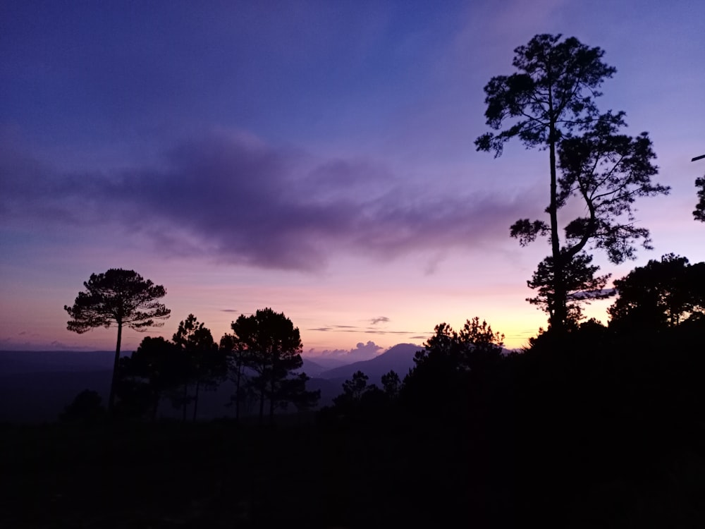 um céu roxo e azul com árvores em primeiro plano