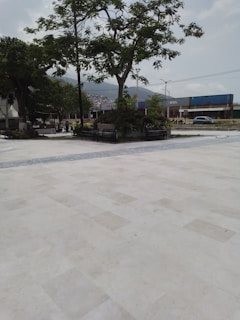 A peaceful open space in the San Francisco Bay Area preserved with help from Millstreet Foundation grants.