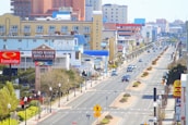 An urban street scene with various hotels and motels lining both sides. The street has several vehicle lanes and is adorned with street lamps and pedestrian crossing signs. Buildings display colorful signage, some of which are identifiable brands. Cars are driving and parked along the street. Trees and shrubs are planted along the sidewalks and in the central median.