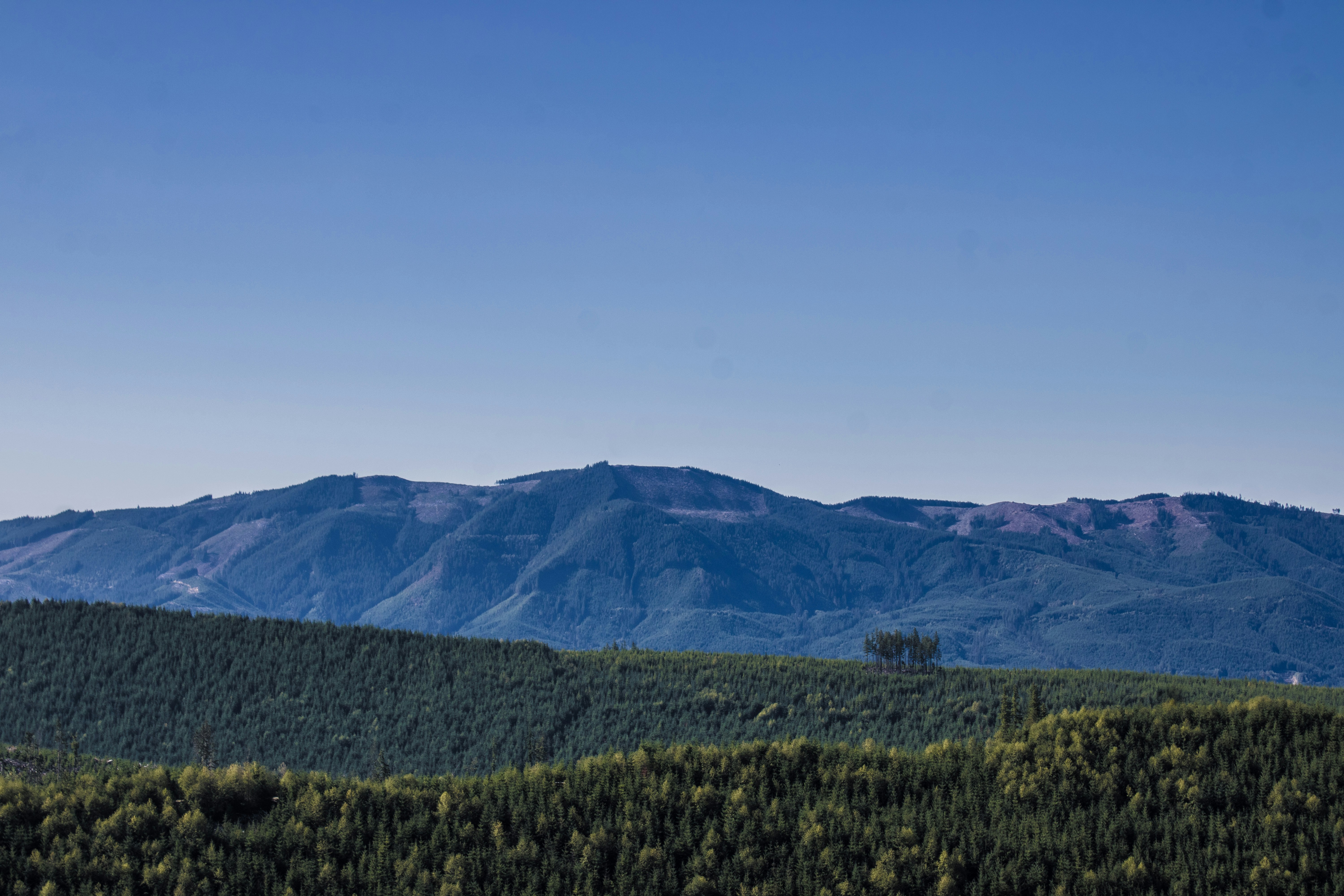 Photo by prphotography262