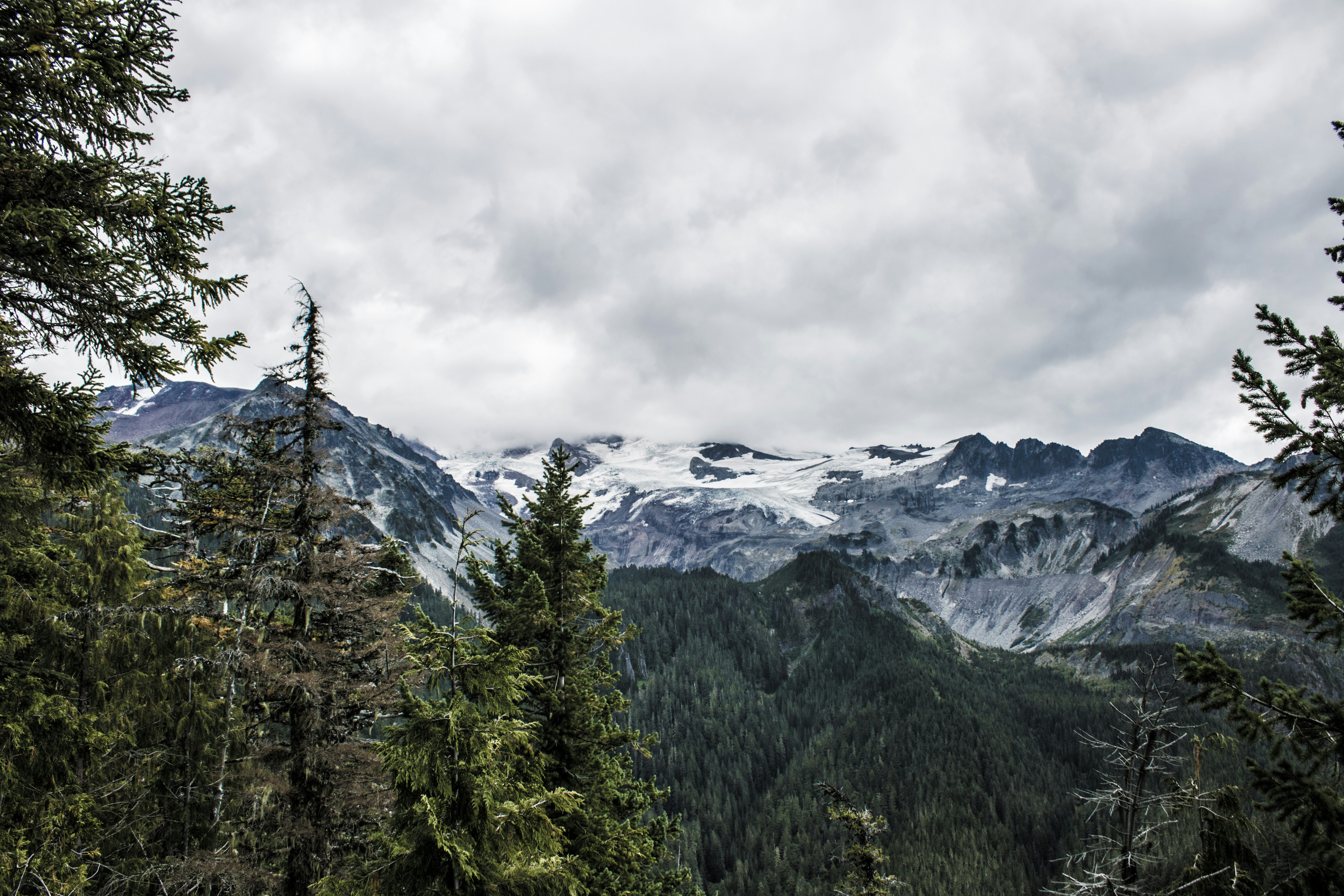 Photo by prphotography262