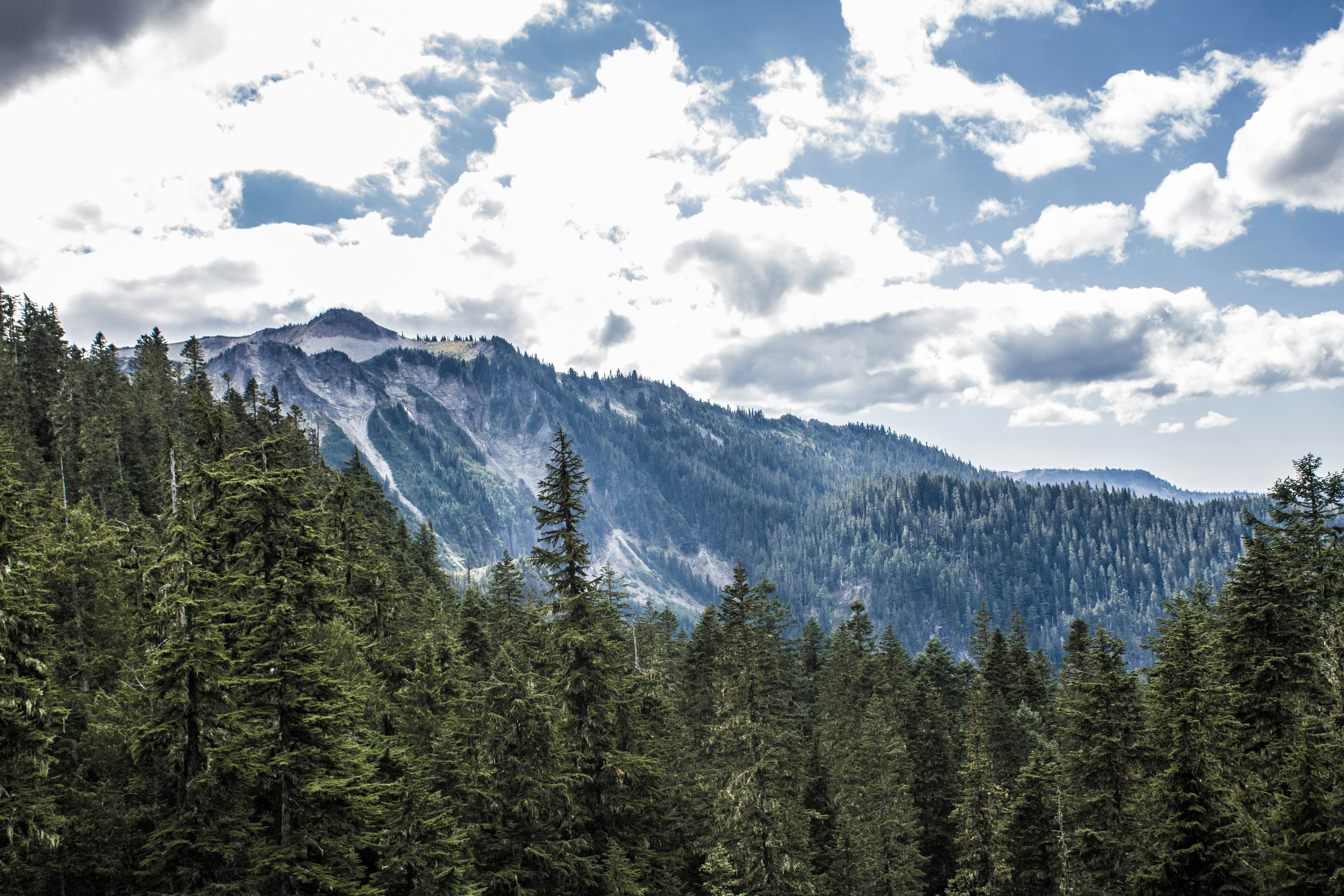 Photo by prphotography262