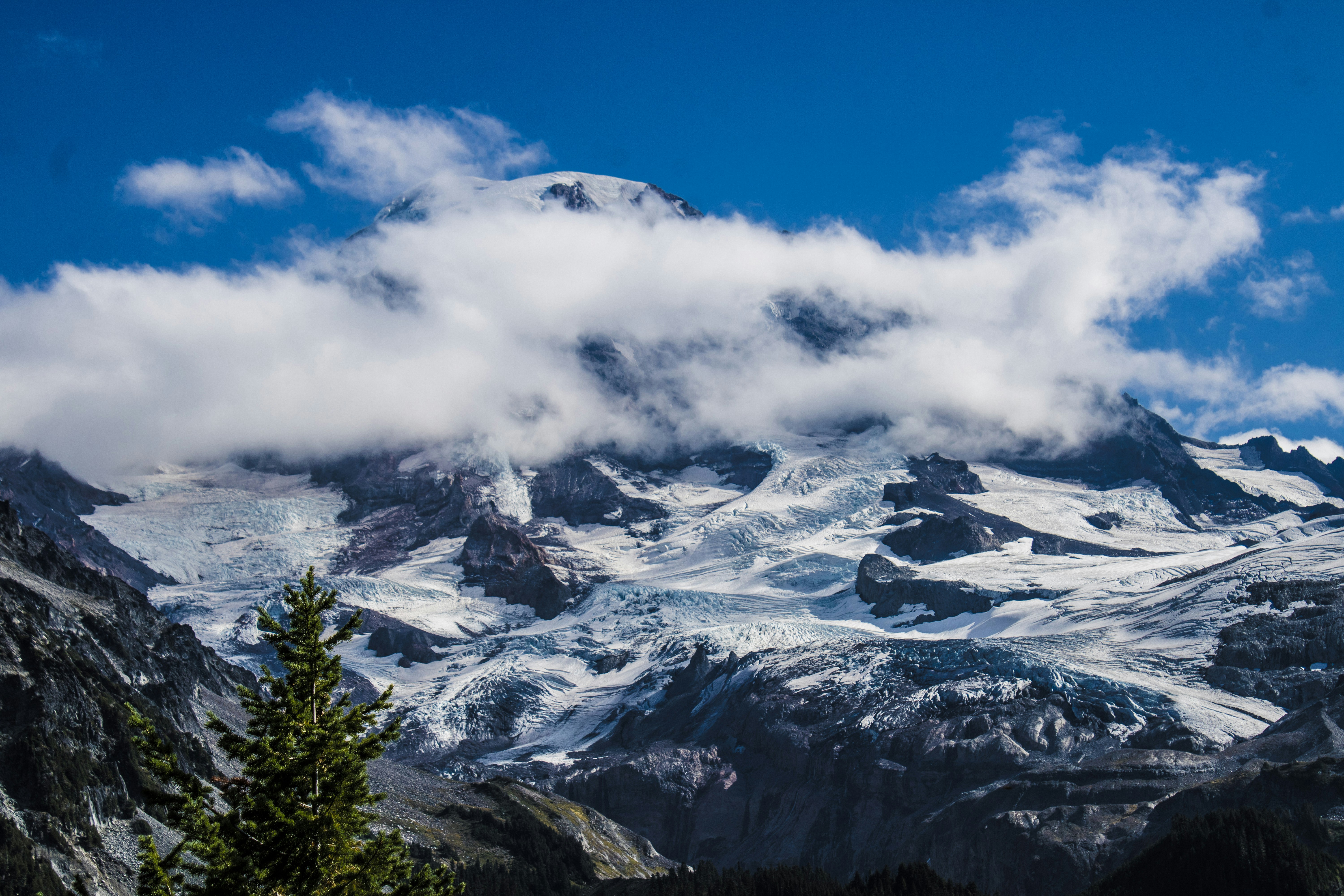 Photo by prphotography262