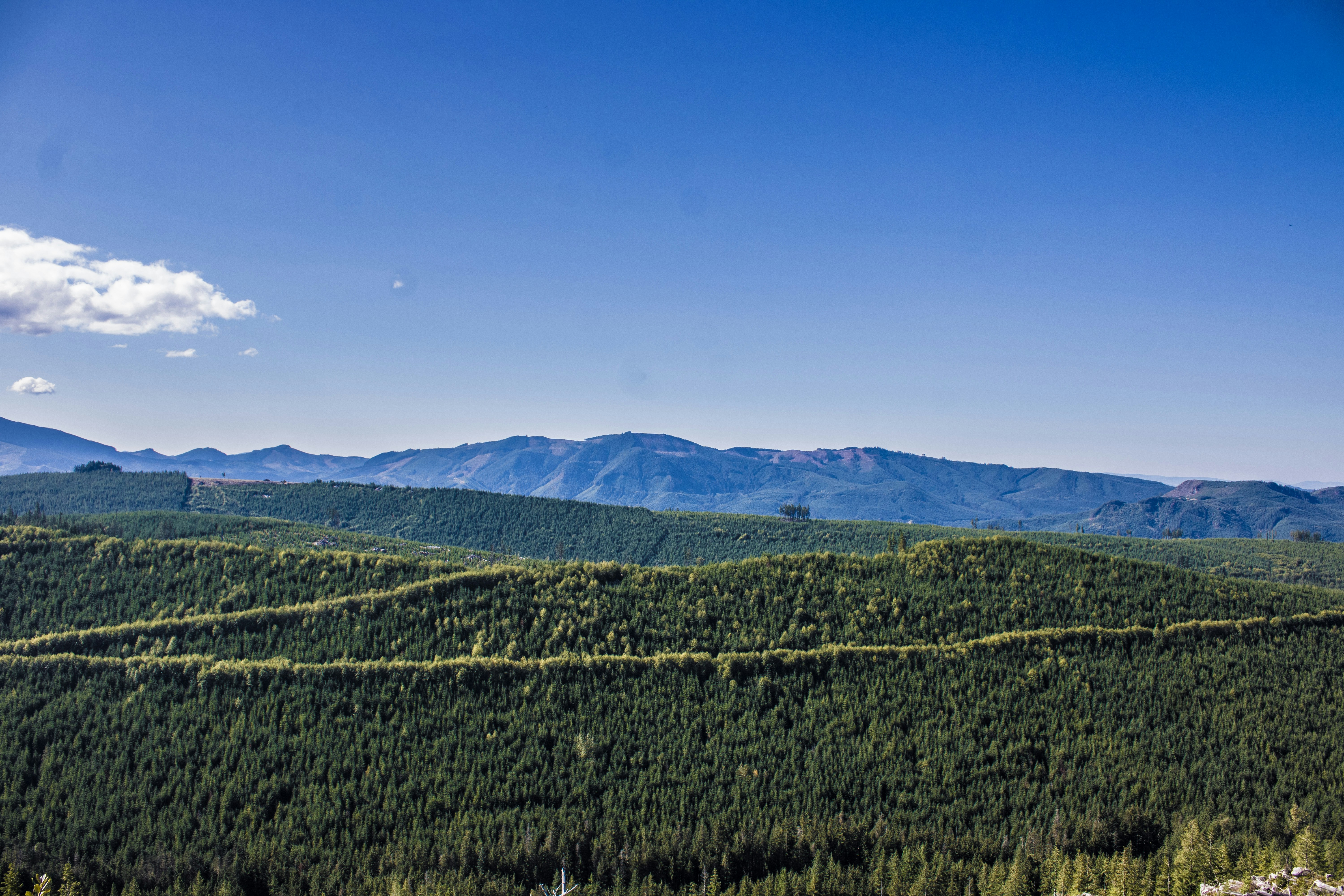 Photo by prphotography262