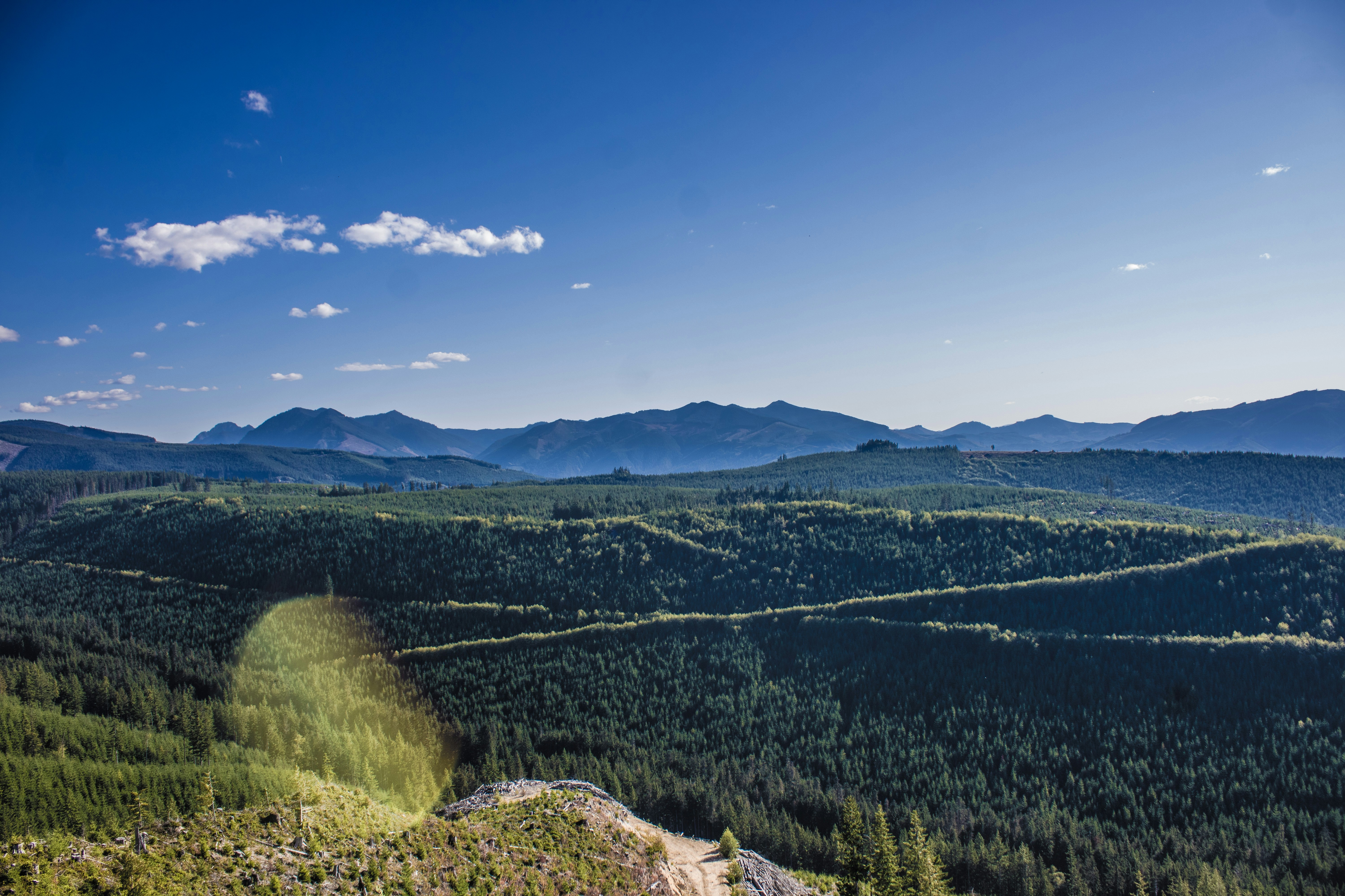 Photo by prphotography262