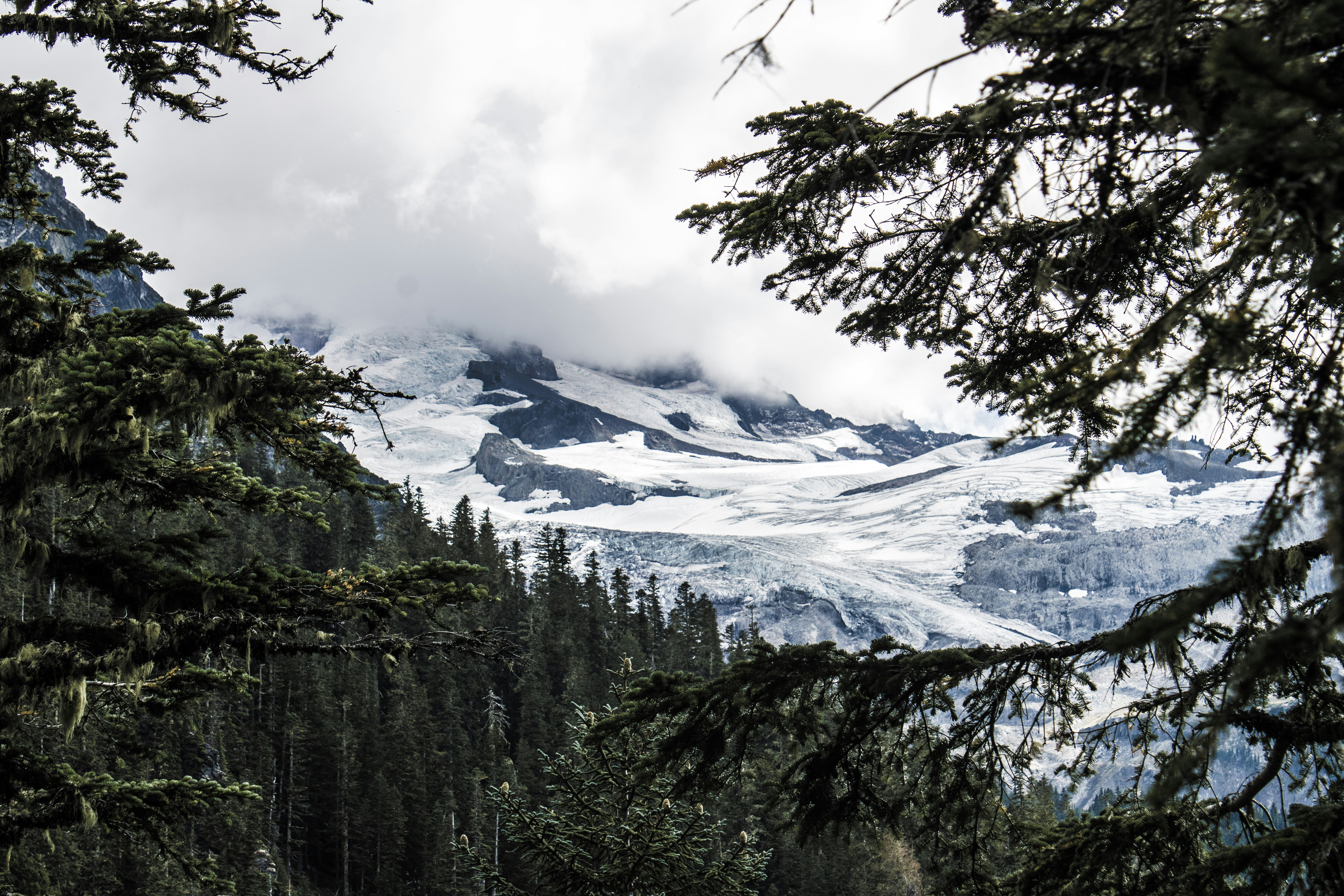 Photo by prphotography262