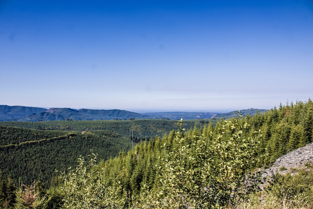 a view of the mountains and trees from the top of a hill