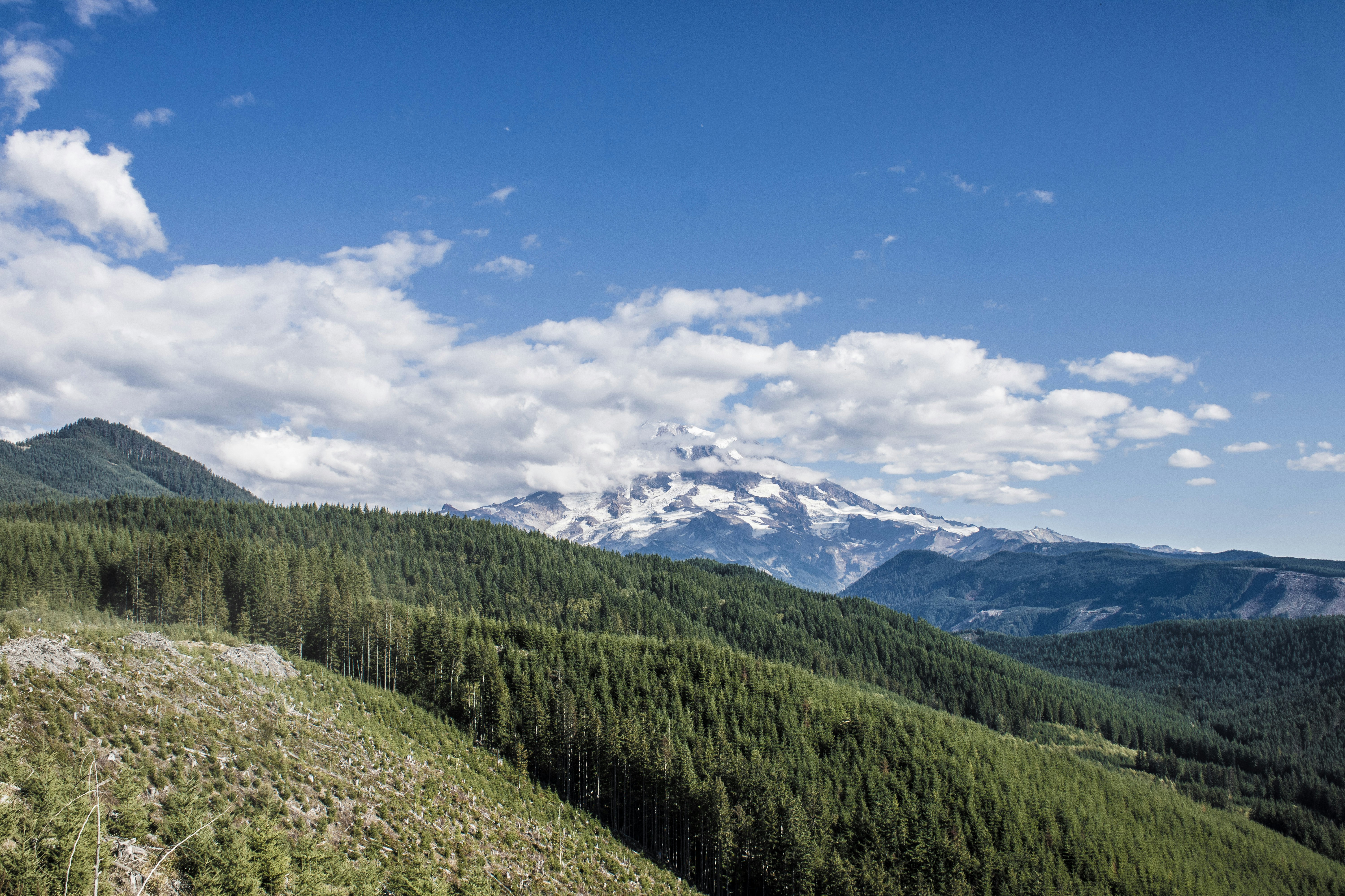 Photo by prphotography262