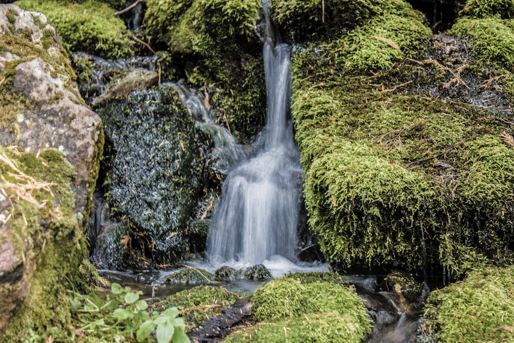 a small waterfall surrounded by mossy rocks