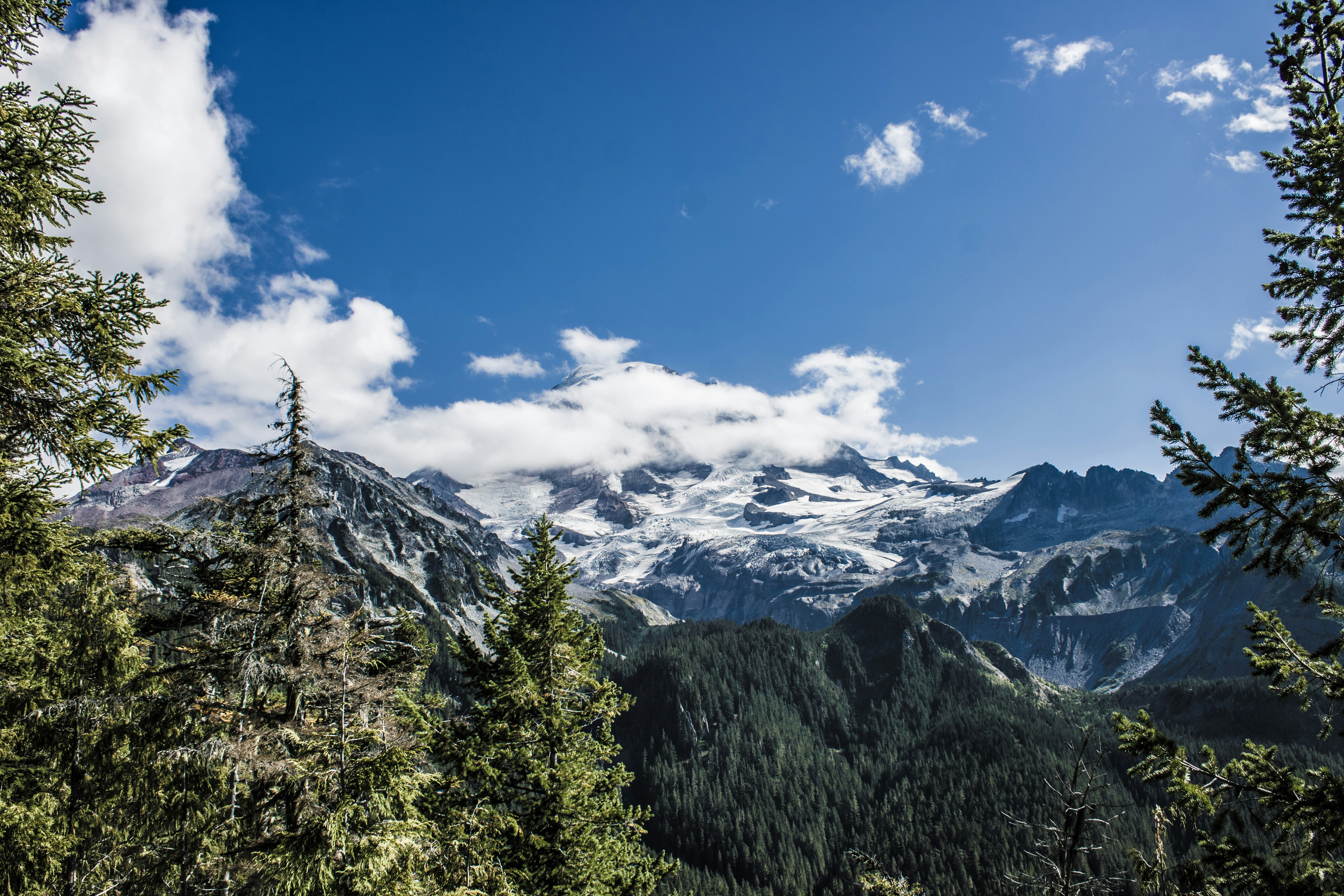 a view of a snow covered mountain from a forest, 
