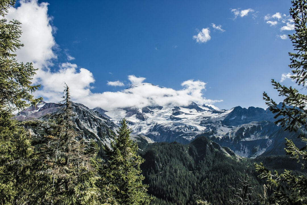 Mount Rainier National Park Introduces Timed Entry System 7 Key Fac… — Mount Rainier National Par…, photo 2