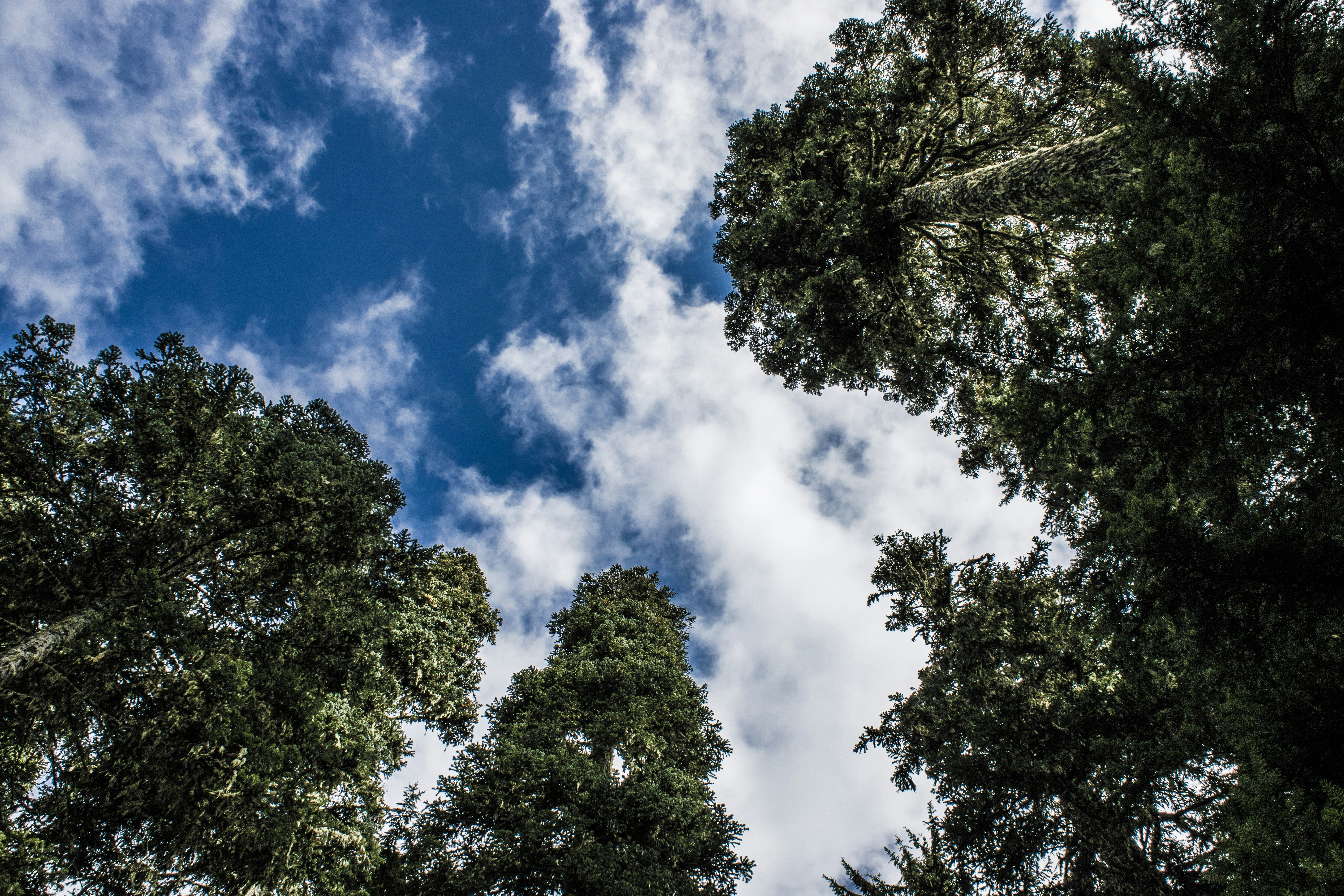 Photo by prphotography262