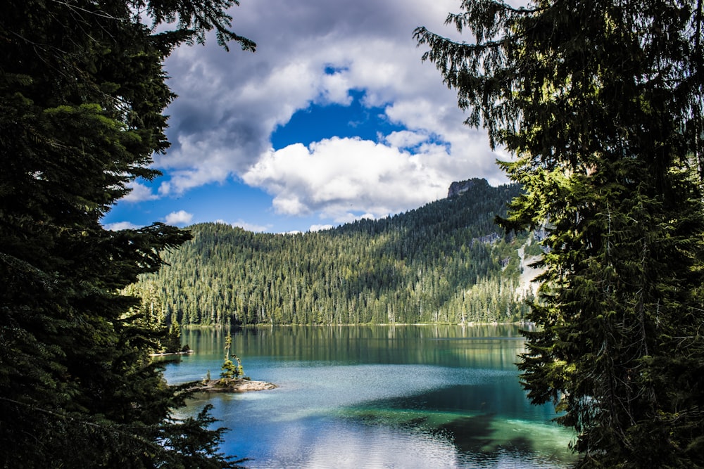 a lake surrounded by trees with a mountain in the background