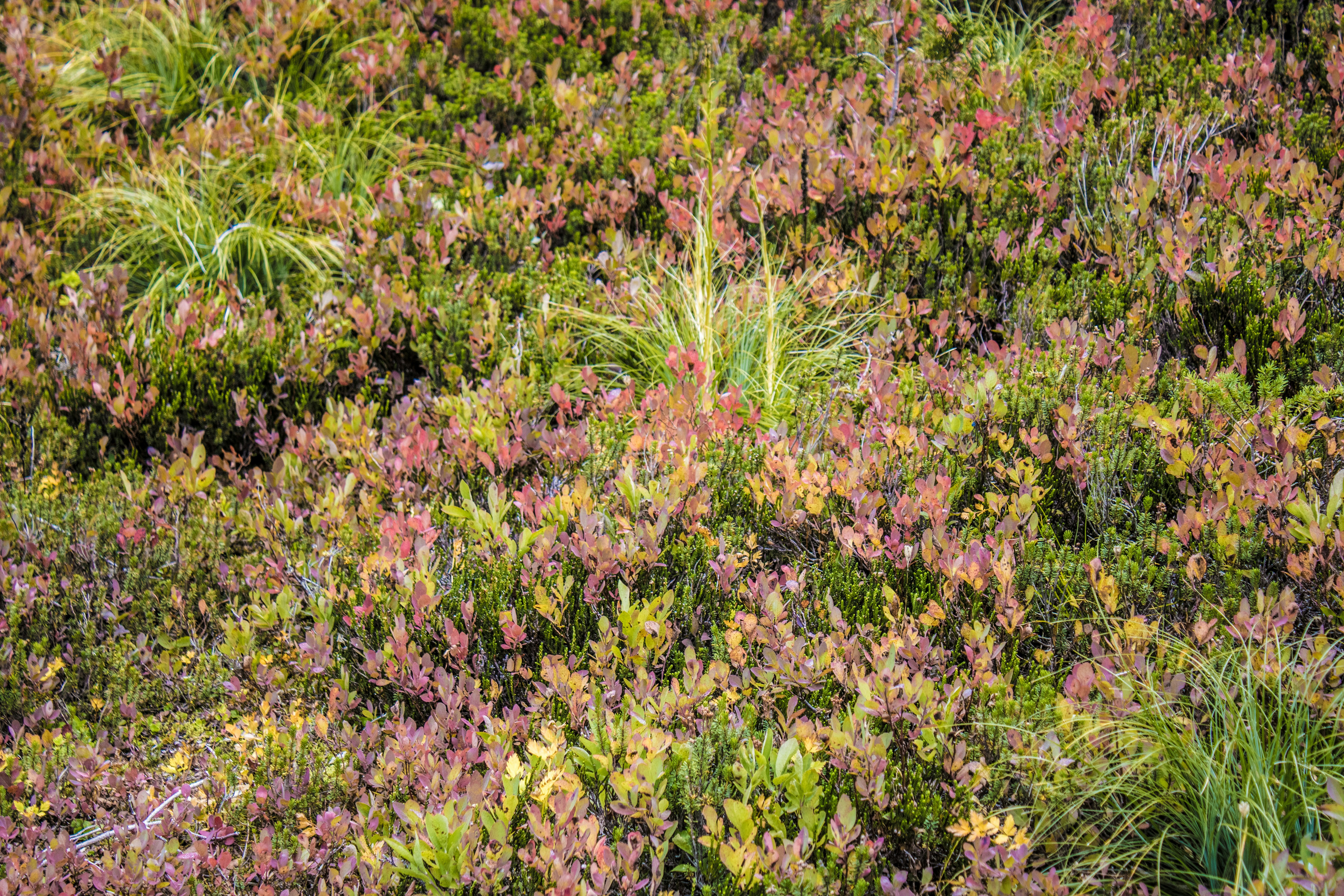 Photo by prphotography262