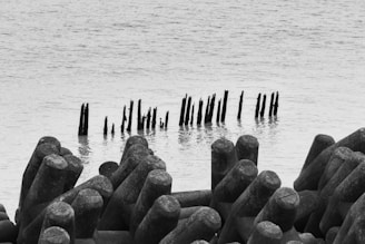 Concrete tetrahedron structures are arranged in the foreground, appearing to provide coastal protection. In the water beyond, several wooden posts protrude, possibly remnants of an old pier or barrier. The scene is captured in black and white, emphasizing textures and contrasts.