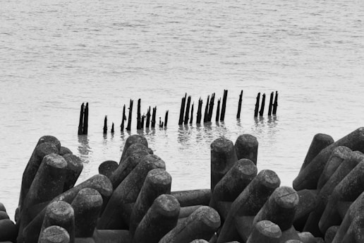 Concrete tetrahedron structures are arranged in the foreground, appearing to provide coastal protection. In the water beyond, several wooden posts protrude, possibly remnants of an old pier or barrier. The scene is captured in black and white, emphasizing textures and contrasts.