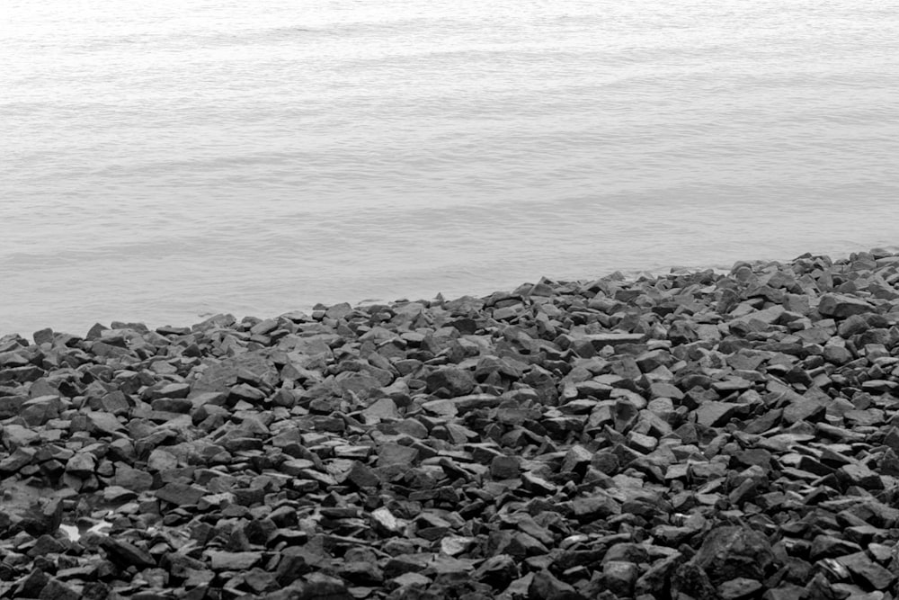 Una foto en blanco y negro de una persona sentada en un banco