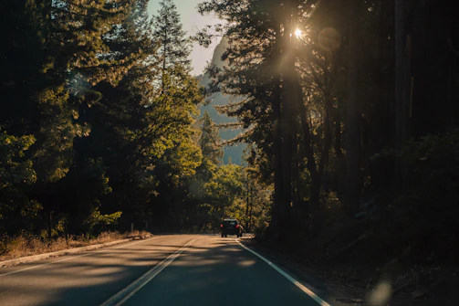 A sunlit winding road through lush Brazilian forest symbolizing adventure and discovery.