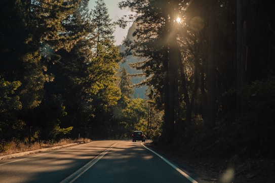A winding road cuts through a dense forest with tall trees on either side. Sunlight filters through the branches, creating a warm glow and casting shadows on the pavement. A single car travels down the road, adding a sense of solitude and adventure.