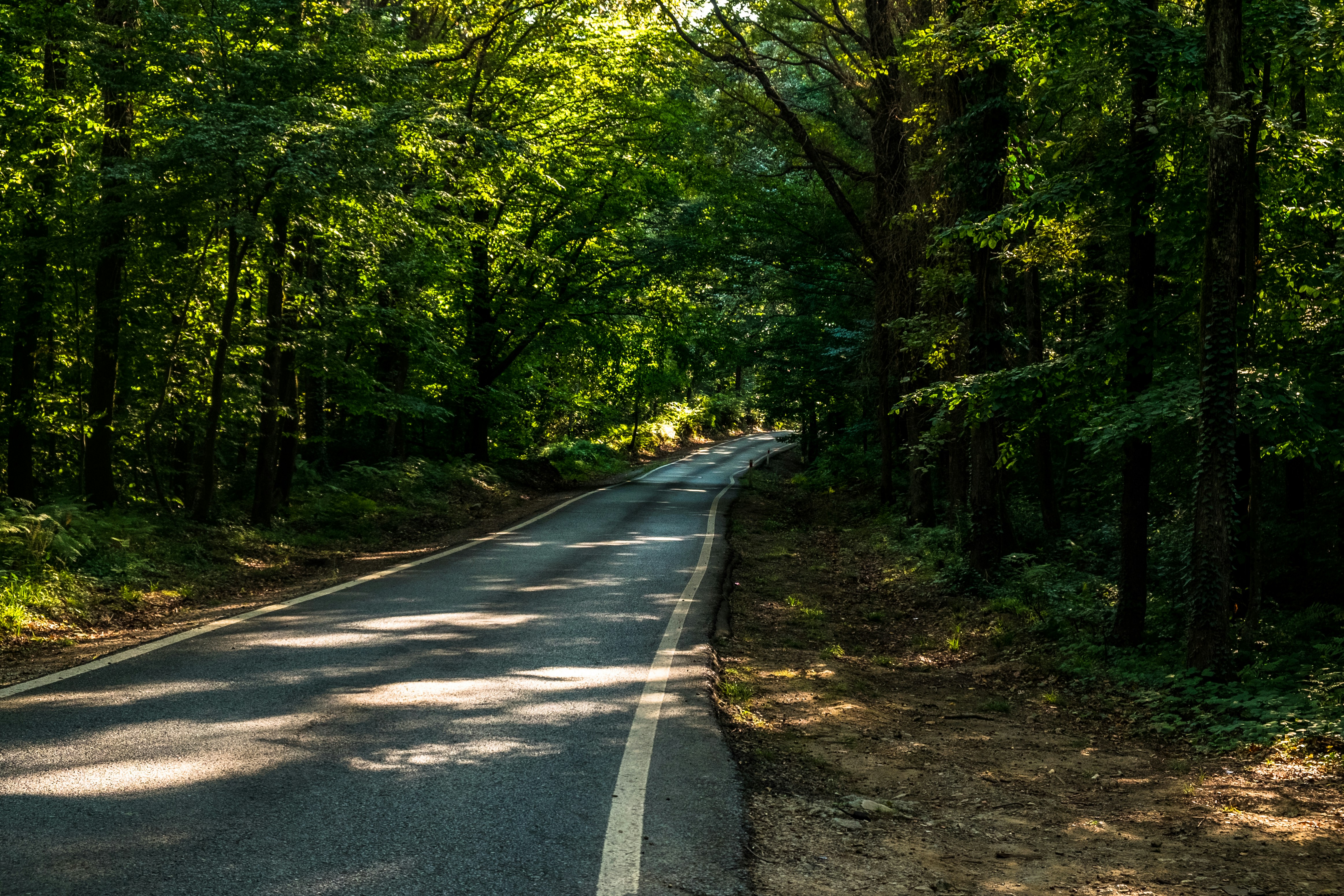 Photo by mo_design_3d