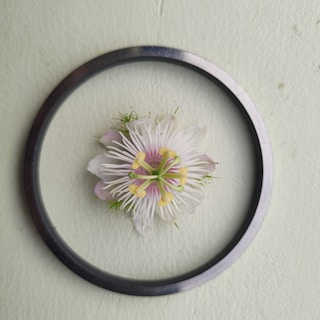 Close-up of a delicate handpainted tiny sticker featuring a vibrant floral design