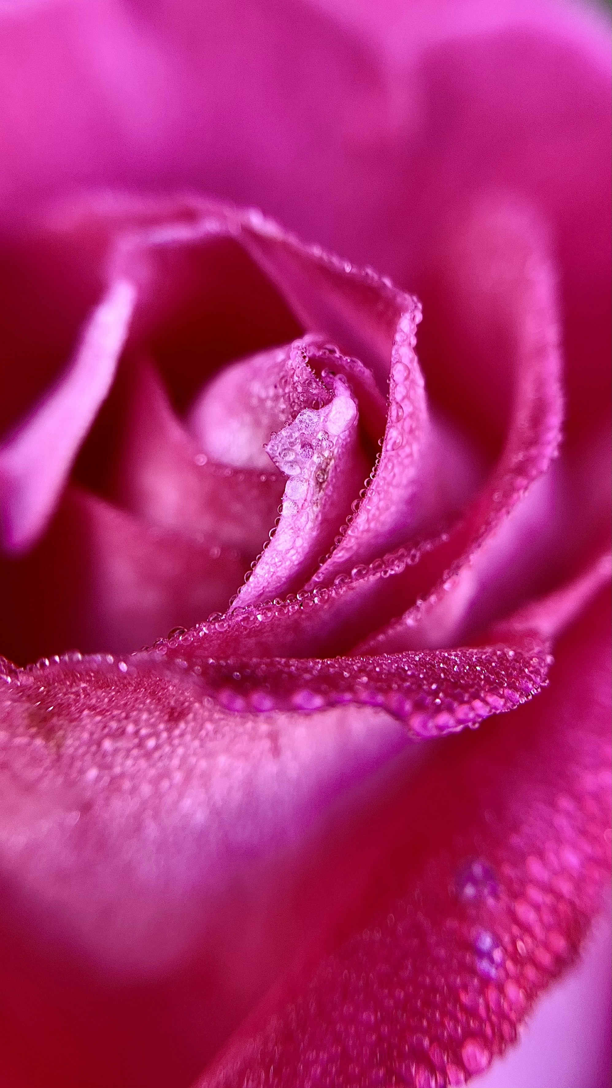 Photo by your_dream_about