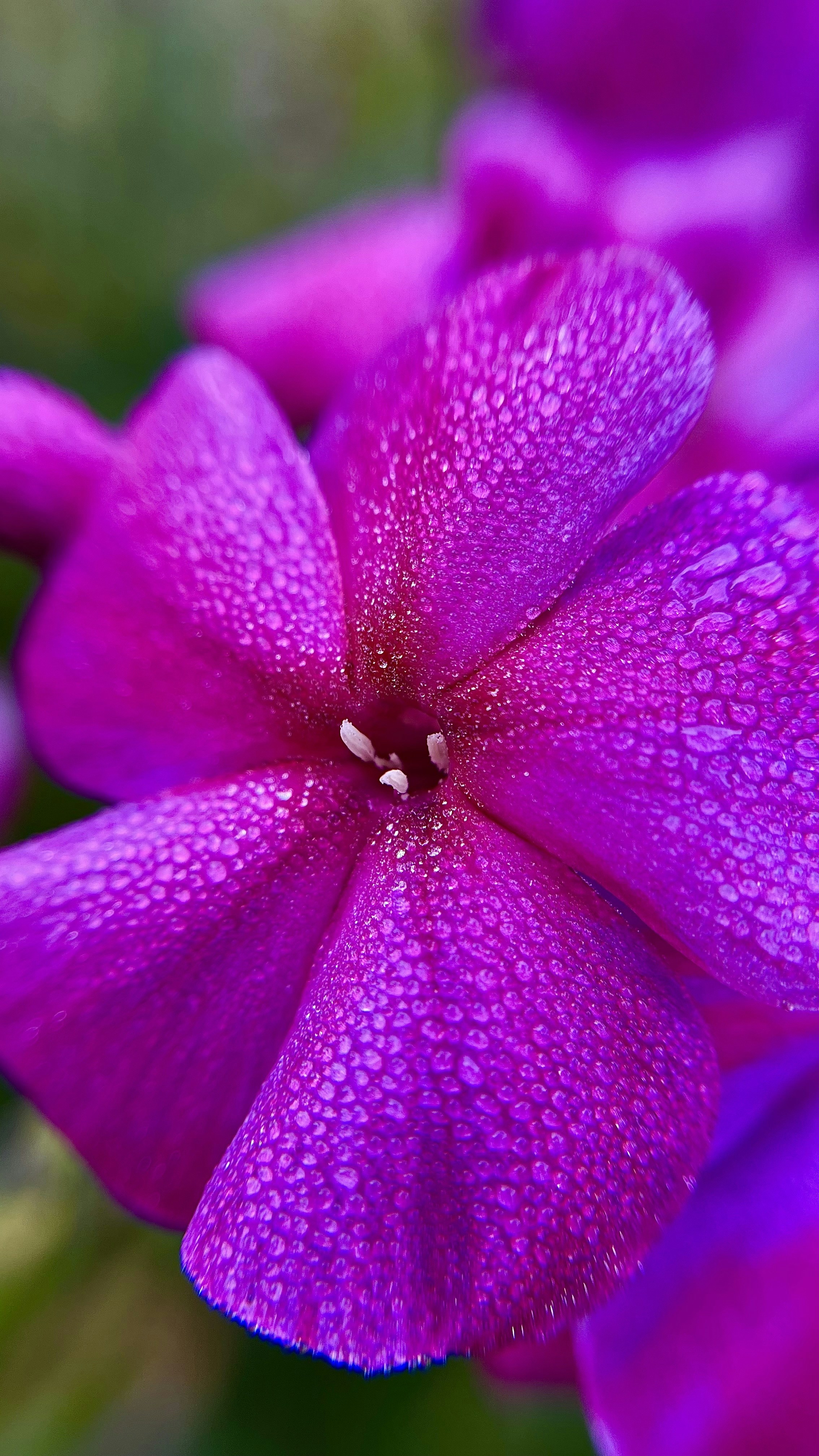 Photo by your_dream_about