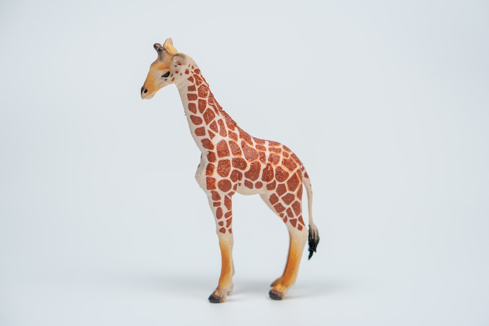 una giraffa giocattolo in piedi su una superficie bianca