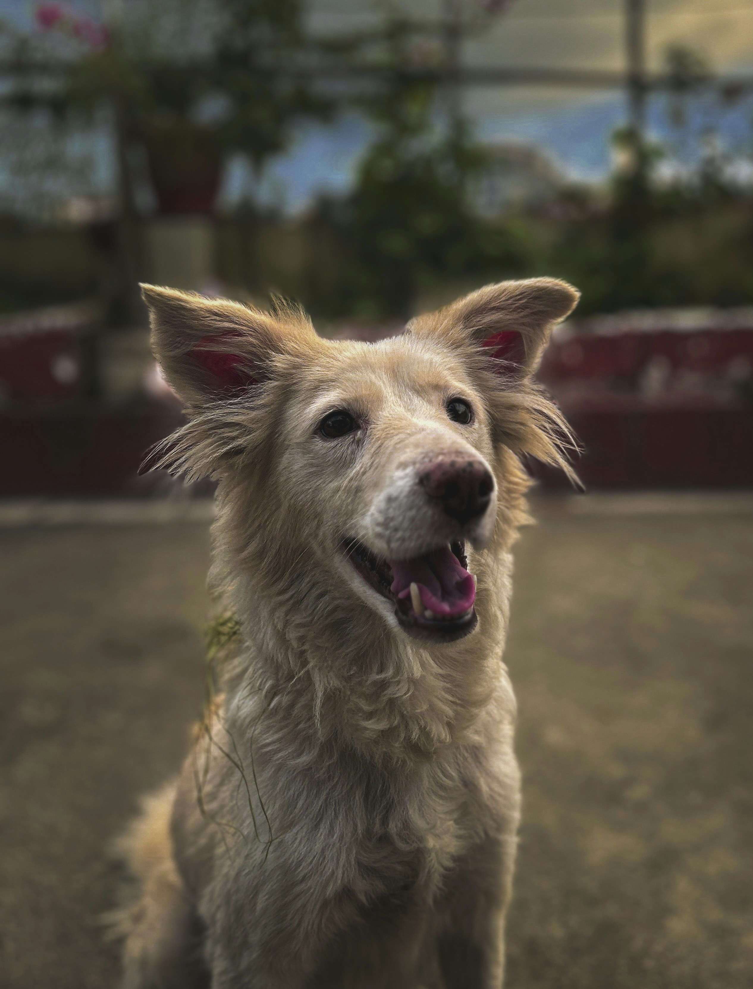 Photo by ashimd