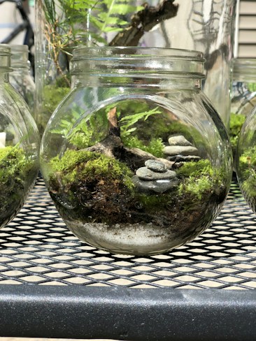 A glass jar contains a mini terrarium with layers of dark soil and sand, topped with vibrant green moss. Inside, there are small stacked stones and a piece of driftwood, surrounded by delicate fern leaves. The jar sits on a metal mesh table, allowing sunlight to illuminate the intricate details within.