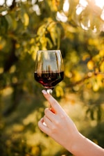 A hand with manicured nails delicately holds a glass of red wine outdoors, set against a backdrop of green foliage bathed in warm sunlight. The glass captures reflections of the surrounding environment, creating a picturesque scene.