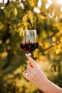 A hand with manicured nails delicately holds a glass of red wine outdoors, set against a backdrop of green foliage bathed in warm sunlight. The glass captures reflections of the surrounding environment, creating a picturesque scene.