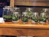 A collection of glass jars filled with layers of soil, white gravel, and green moss, arranged neatly on a wooden table. The jars vary in size and have metallic lids. The background consists of a wooden furniture piece.