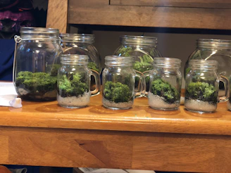 Glass jars filled with various mushroom spores and cultures on a wooden table.