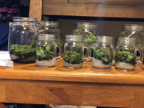 Window sill lined with various jars housing environmental samples.