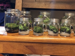 A collection of glass jars filled with layers of soil, white gravel, and green moss, arranged neatly on a wooden table. The jars vary in size and have metallic lids. The background consists of a wooden furniture piece.