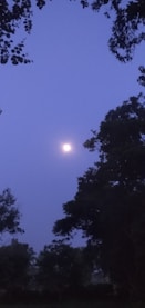 A serene moonlit night with earthy tones.