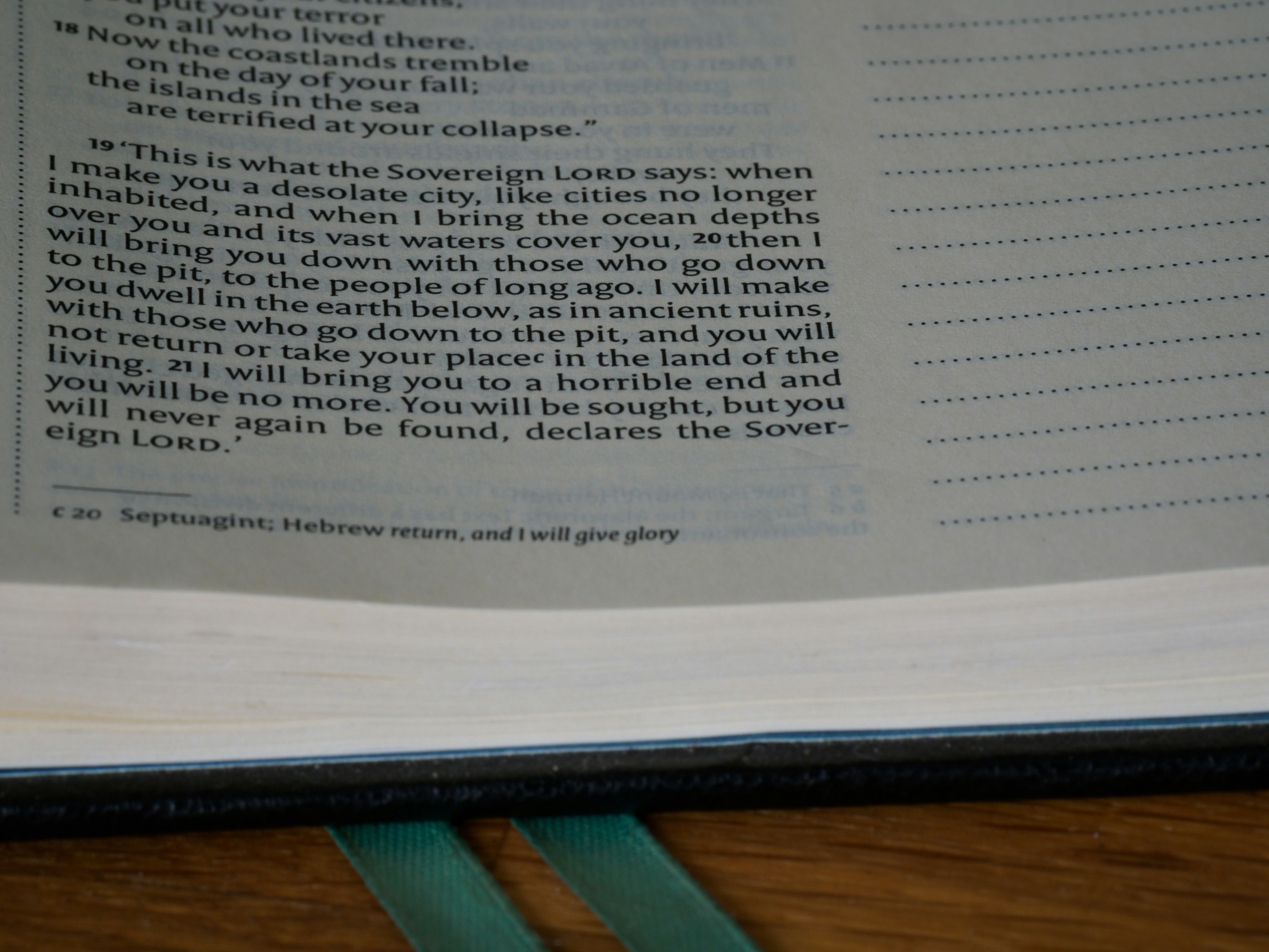 Photo by brett_jordan