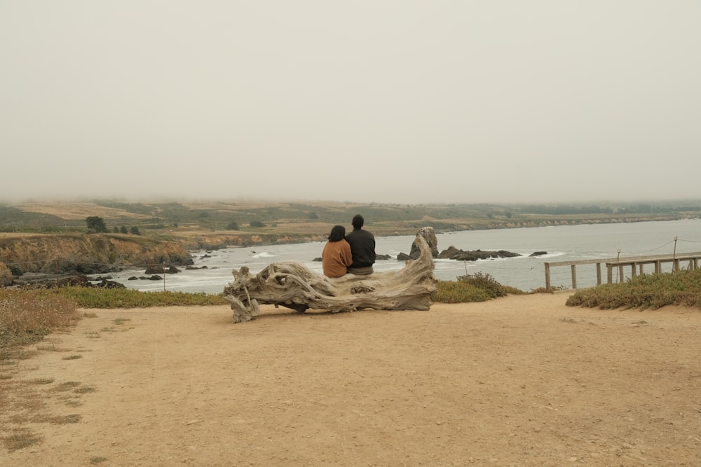 two people sitting on a driftwood bench overlooking a body of water