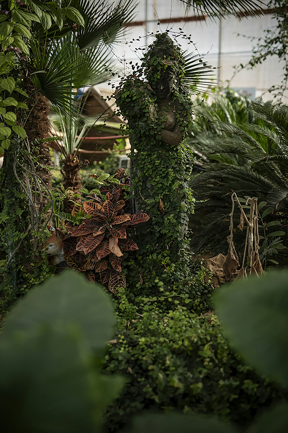 a bunch of plants that are inside of a building