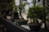 a bonsai tree in a pot on a table
