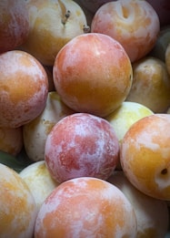 A vibrant image of ripe plums ready for harvest.