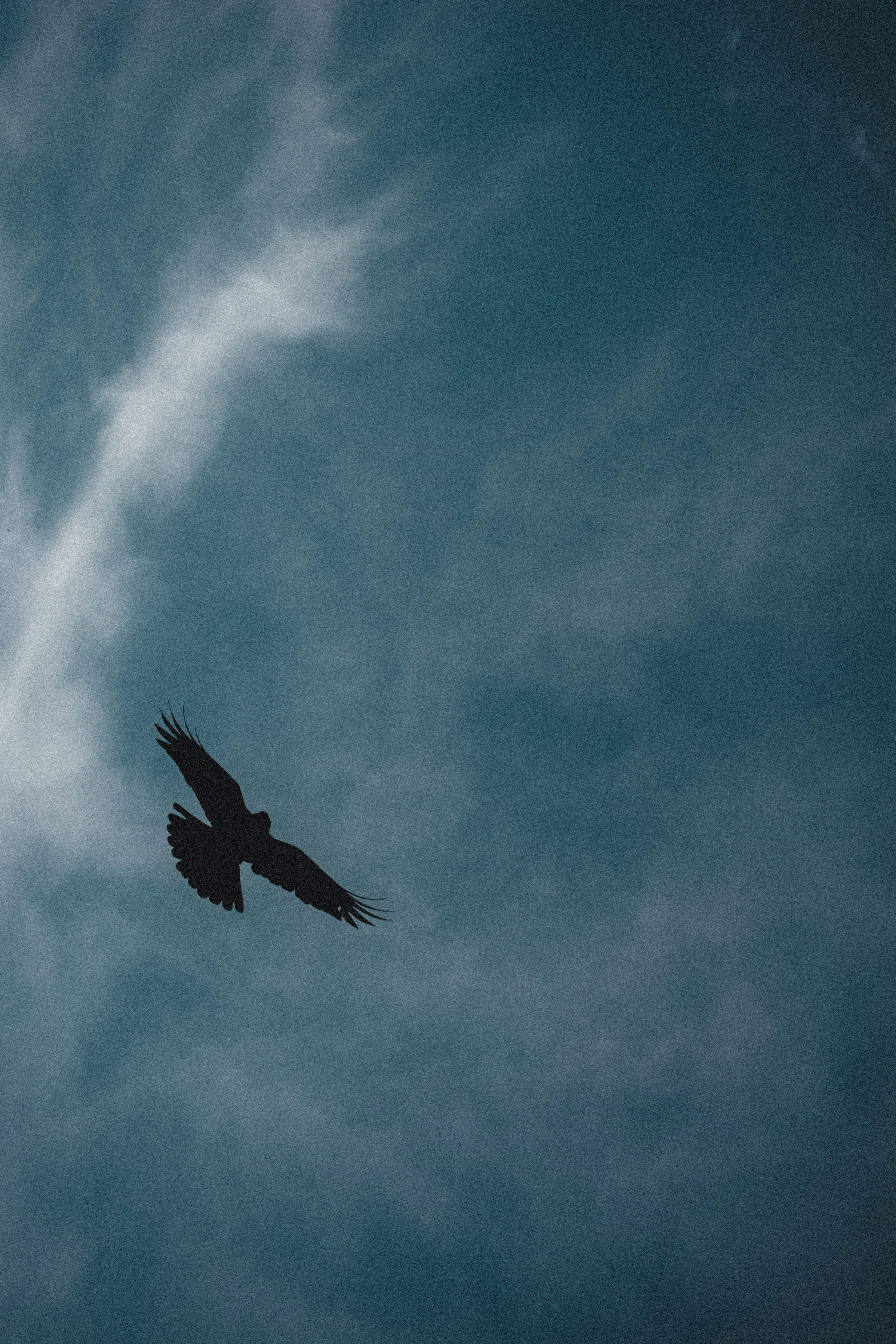 Photo by miguel_ind0