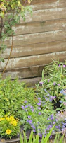 A vibrant flower garden bursting with seasonal blooms alongside a wooden fence.