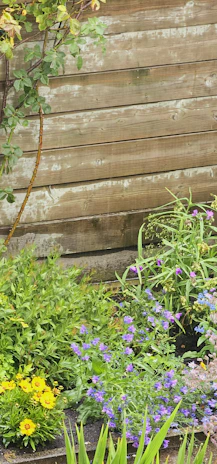 A vibrant garden scene showcasing a mix of colorful plants bordered by a sturdy, elegant fence.