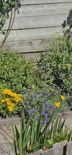 A well-maintained wooden fence surrounding a vibrant garden with blooming flowers.