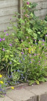 A peaceful garden corner showing the variety of plants available at the nursery.