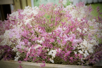 A rustic wooden box brimming with delicate pink and white flowers. The blossoms are densely packed, creating a lush and overflowing display that exudes a natural and organic charm. The background is slightly blurred, emphasizing the colorful vibrancy of the flowers.
