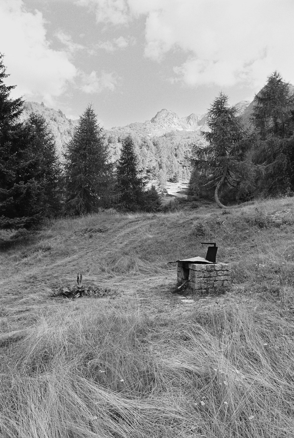 a bench sitting on top of a grass covered field