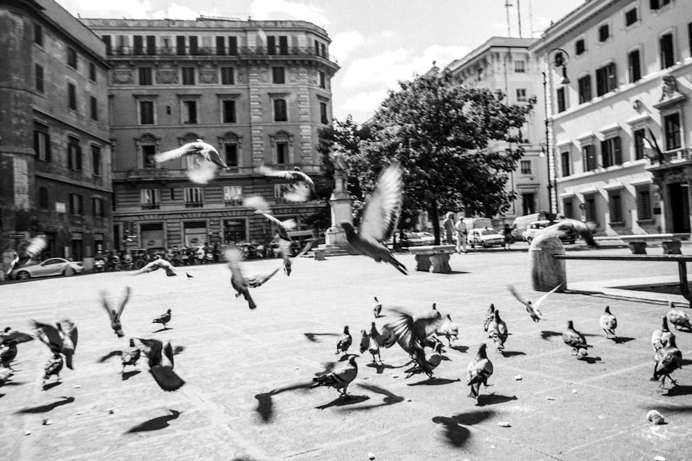 a flock of birds flying over a street next to tall buildings